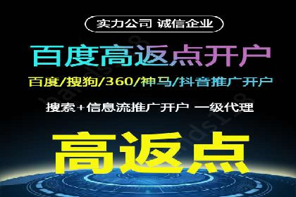 百度竞价代运营公司成功案例分析